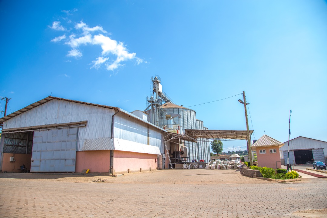 WhatsApp Image 2021-04-23 at 1.01.22 PM 1.jpeg